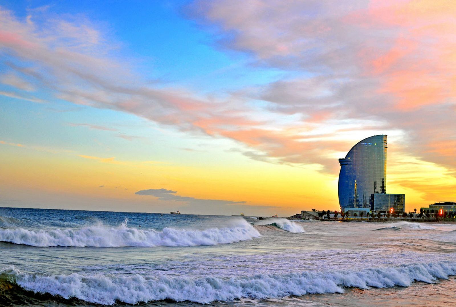 El Escarabajo Verde - Urbanitas en transición - Avance