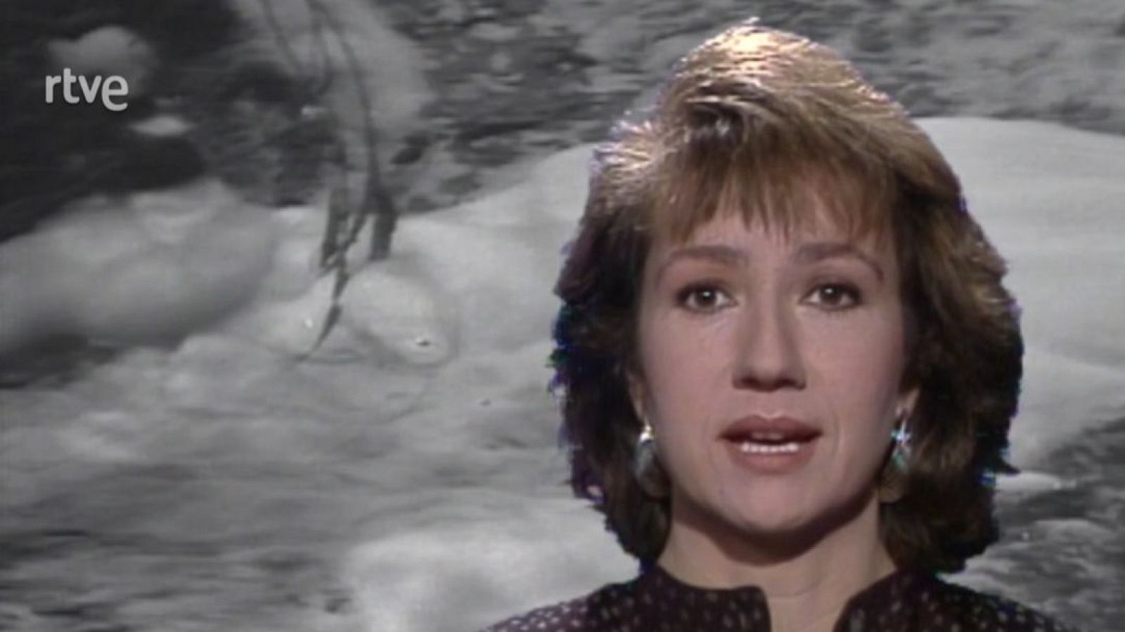 Arxiu TVE Catalunya - Panorama - La contaminació dels rius d'Osona