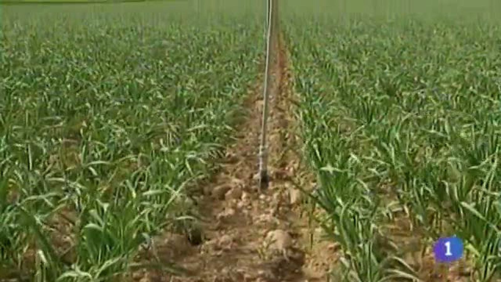 Noticias de Castilla-La Mancha - 30/04/14 | Ver