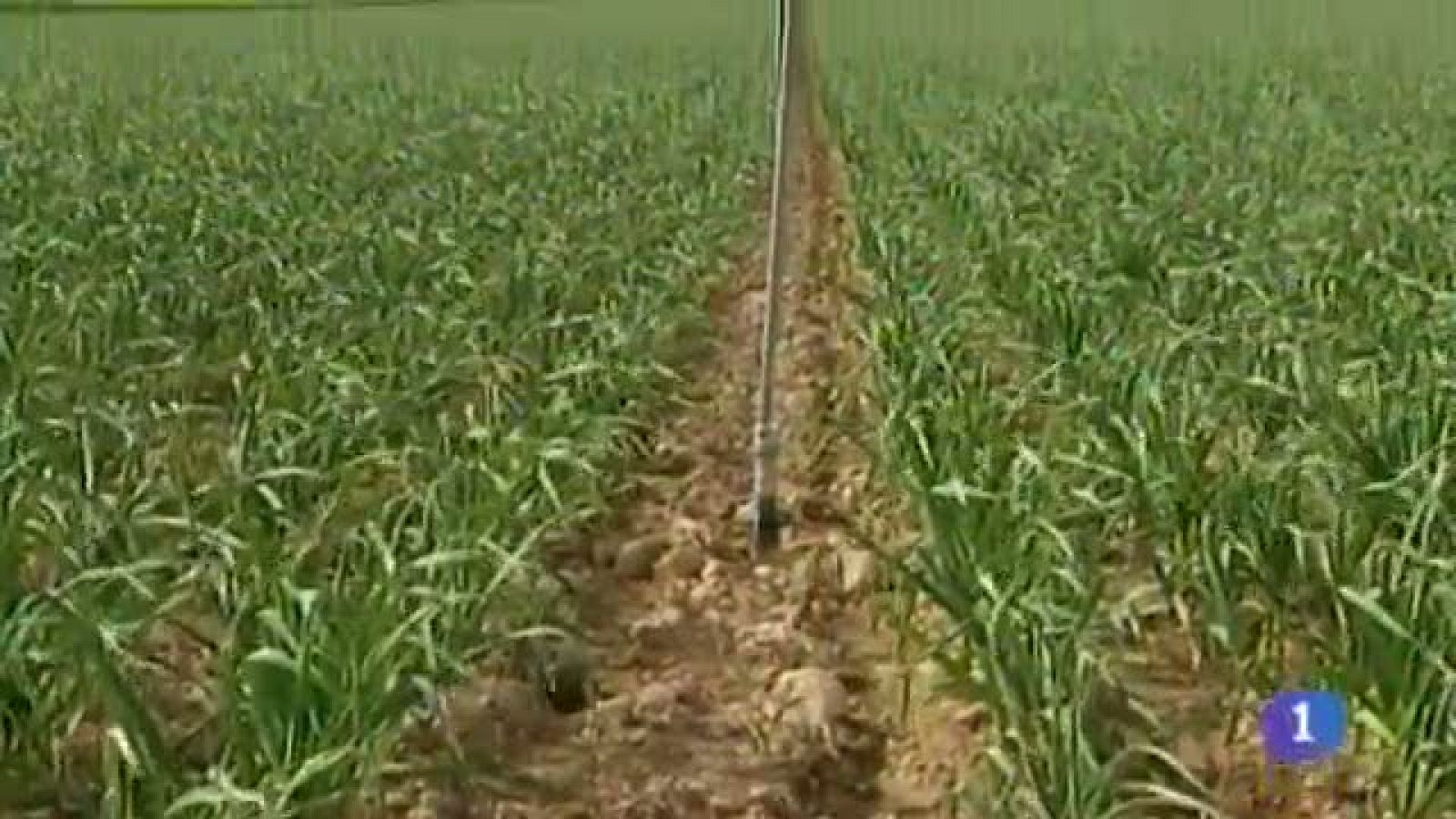 Castilla-La Mancha en 2' - 30/04/14 | Ver