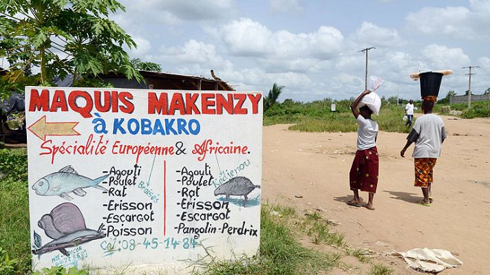 Telediario 1 - Guinea lucha por atajar su primer brote de ébola