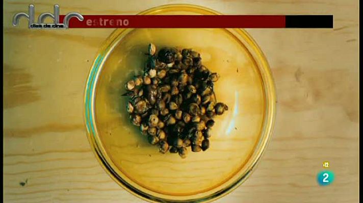 Días de cine - 'No se aceptan devoluciones'