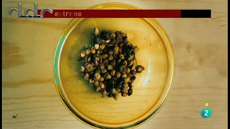 'No se aceptan devoluciones'