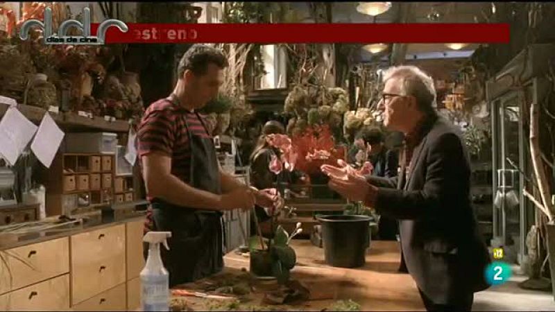 'Aprendiz de Gigoló'