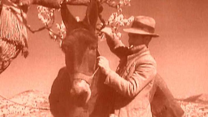 El documental - Alicante en blanco y negro. Retazos de la Costa Blanca