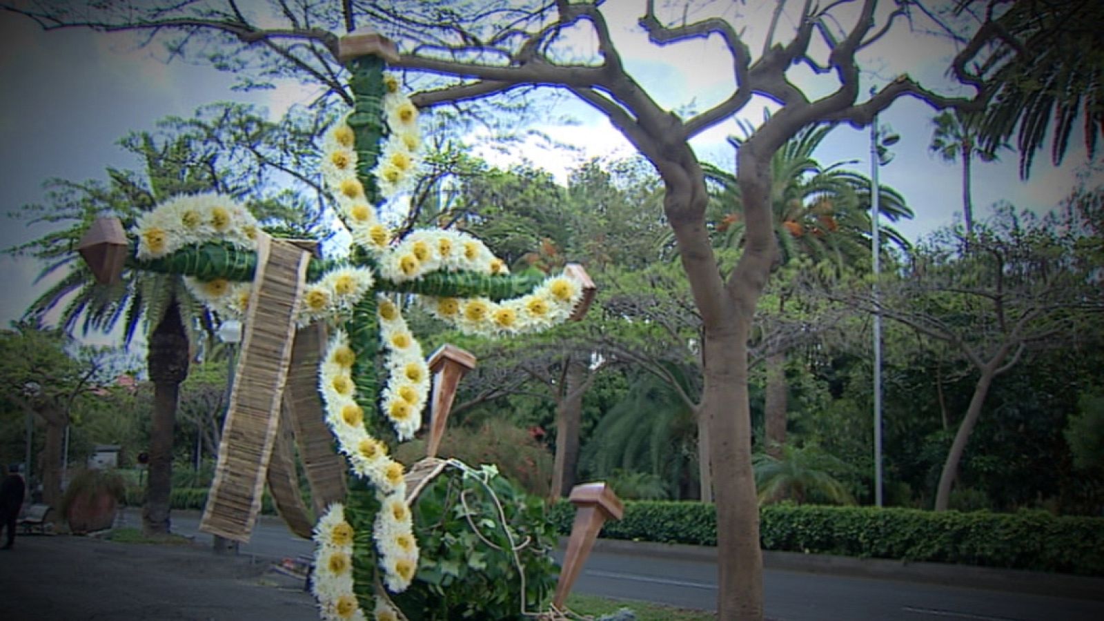 Canarias en 2' - 02/05/14 | Ver