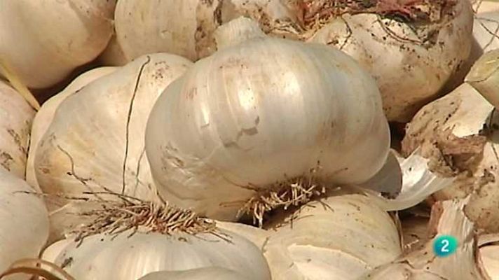 Agrosfera - Agrosfera - 03/05/14