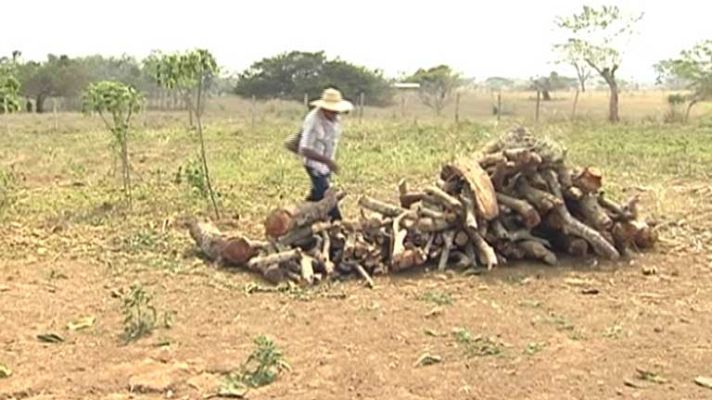 Telediario 1 - Ley de Víctimas y Restitución de Tierras en Colombia