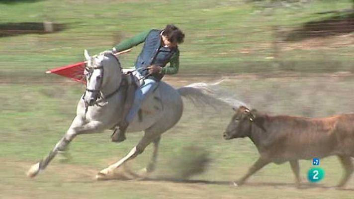 Tendido cero - Tendido Cero - 03/05/14