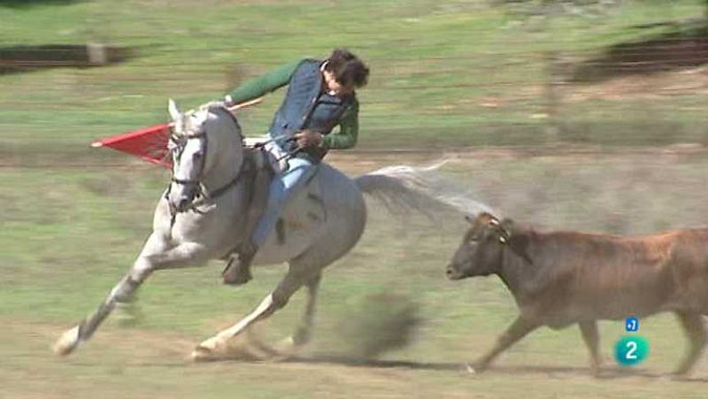 Tendido Cero - 03/05/14 - ver ahora