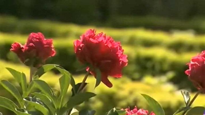 El tiempo - Lluvia en Galicia y Cantábrico y nuboso en la mitad norte