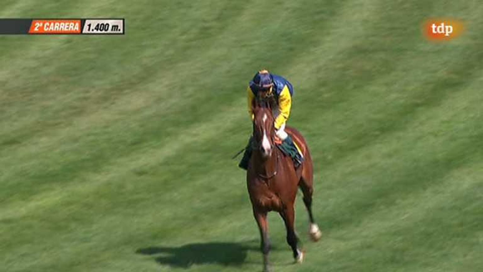 Turf - 04/05/14 - Ver ahora