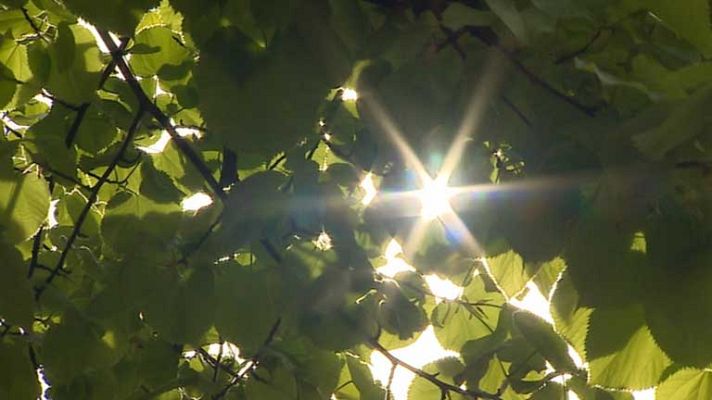 Informativo de Madrid - El tiempo en la Comunidad de Madrid - 05/05/14