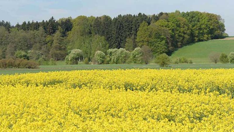 Nubes en la mitad norte peninsular, poco nuboso en el resto de la península y Baleares