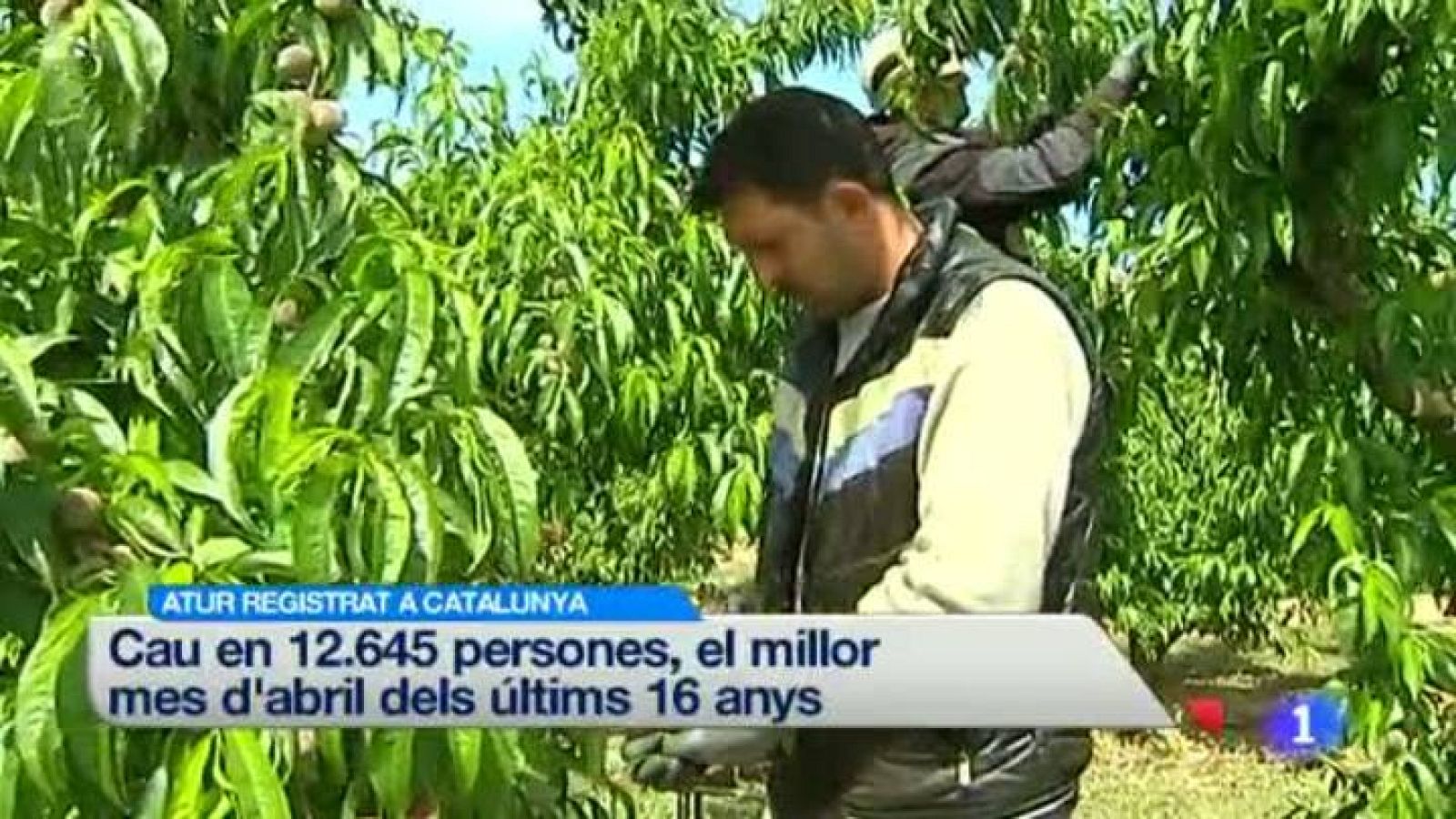 L'Informatiu en 3' - 06/05/14