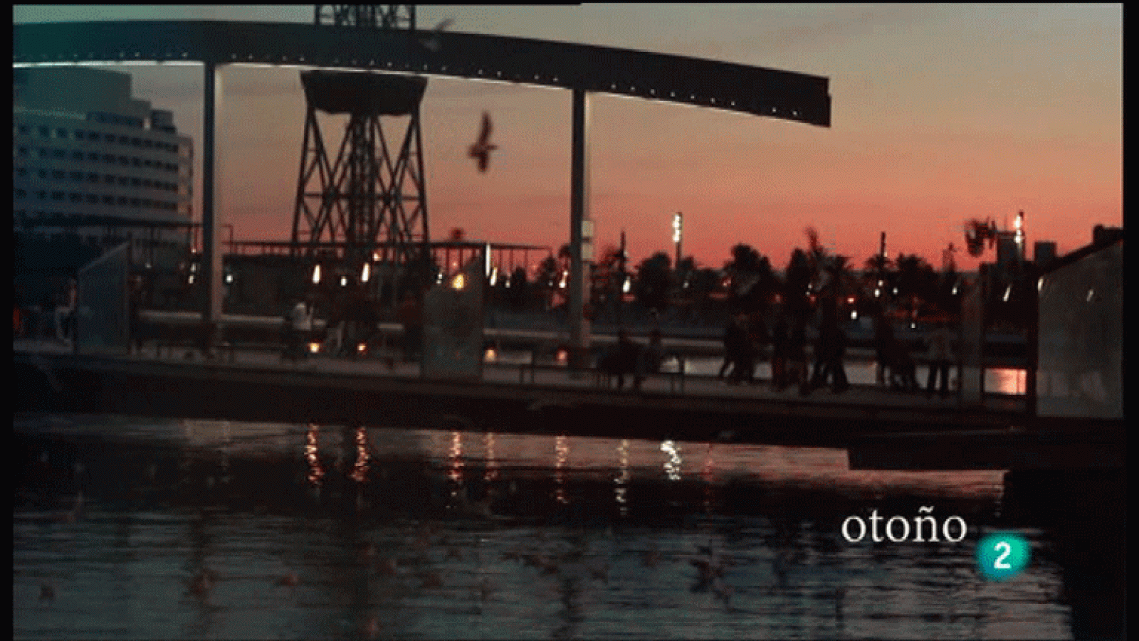 La Aventura del Saber. Cinema Jove. Otoño