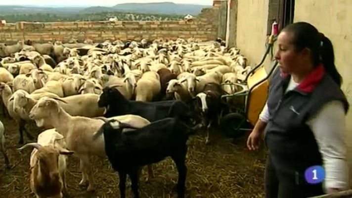 Noticias de Castilla-La Mancha - Noticias de Castilla-La Mancha - 07/05/14