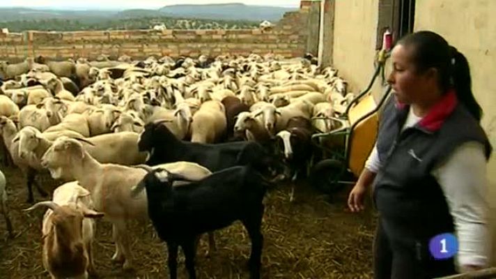 Noticias de Castilla-La Mancha - Castilla-La Mancha en 2' - 07/05/14