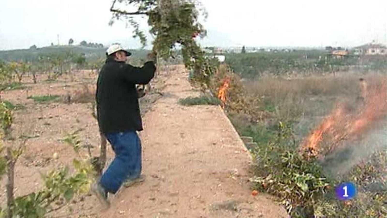 L'Informatiu - Comunitat Valenciana -  07/05/14 - Ver ahora