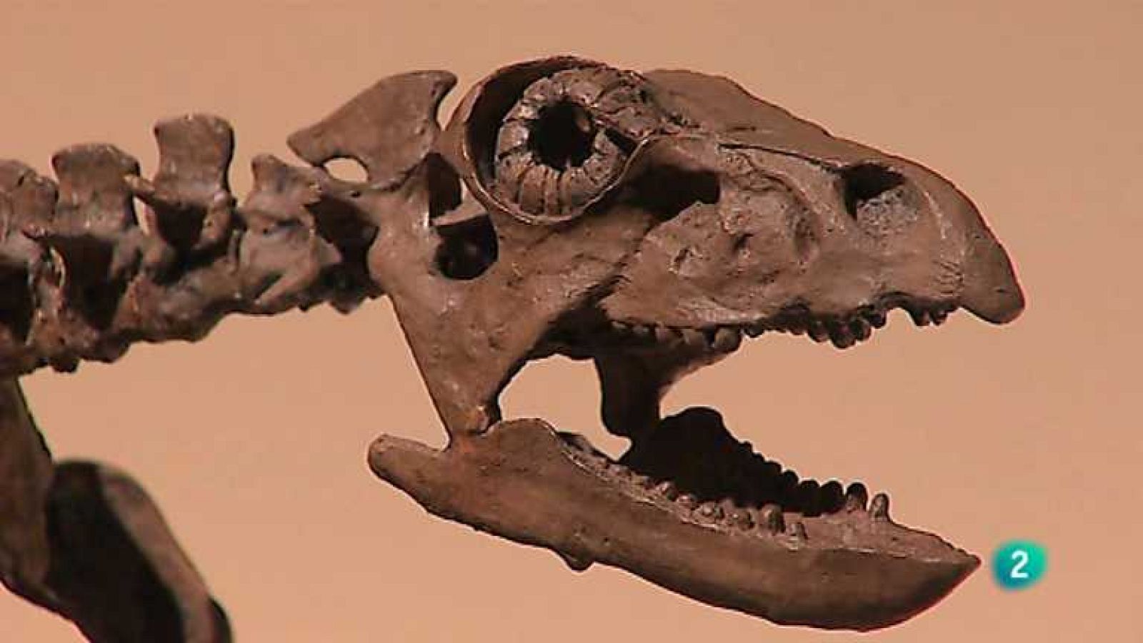 España en Comunidad - 03/05/14 - Ver ahora