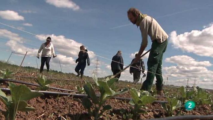Aquí hay trabajo - Aquí hay trabajo - 08/05/14