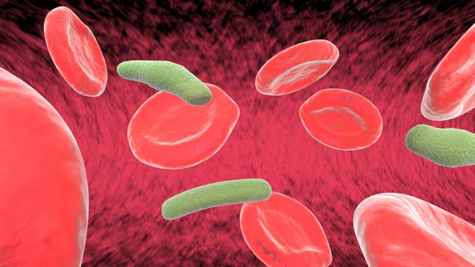 Saber vivir - 09/05/14 - Ver ahora