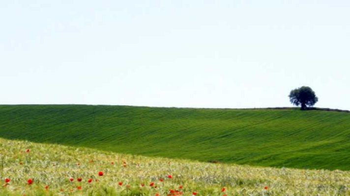El tiempo - Suben las temperaturas en la mayor parte de la Península