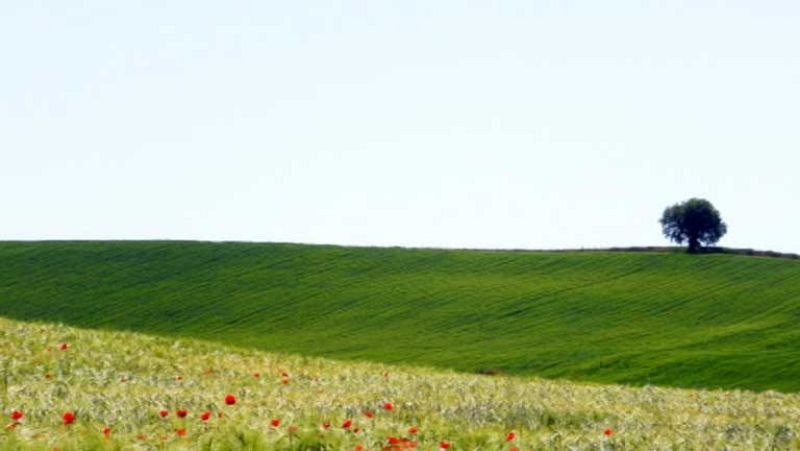 Suben las temperaturas en la mayor parte de la Península