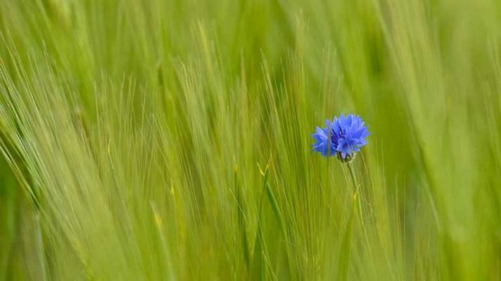 El tiempo - Algún chubasco y ascenso de las temperaturas en la mayor parte de la Península