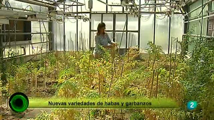 Agrosfera - Nuevas leguminosas