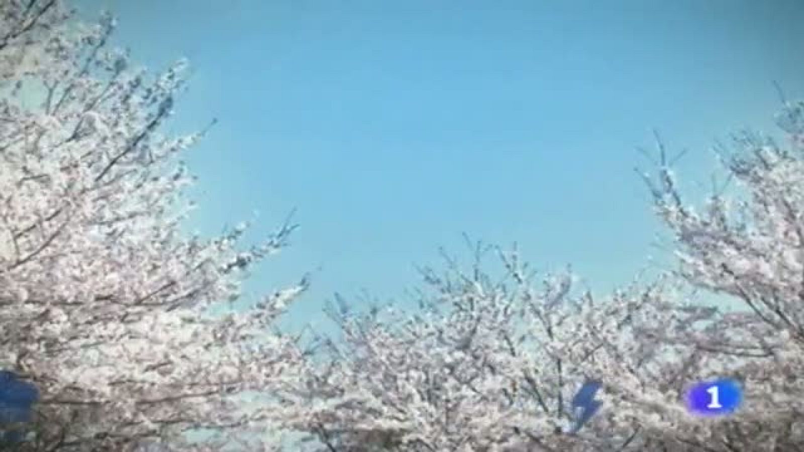 El tiempo en la Región de Murcia - 12/05/2014