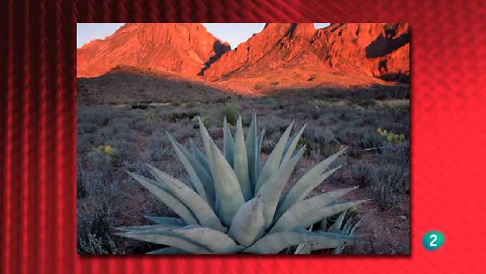 Saber y ganar - 13/05/14 - Ver ahora