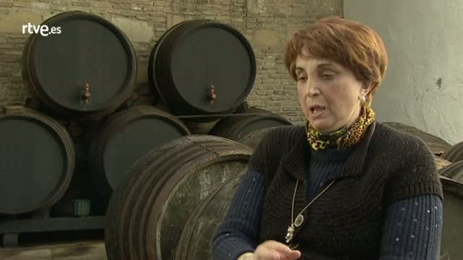 El léxico marinero de las bodegas - Crónicas | Ver