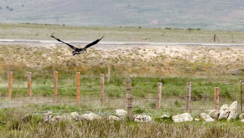 Temperaturas en ascenso, poco nuboso y fuerte viento en el Estrecho