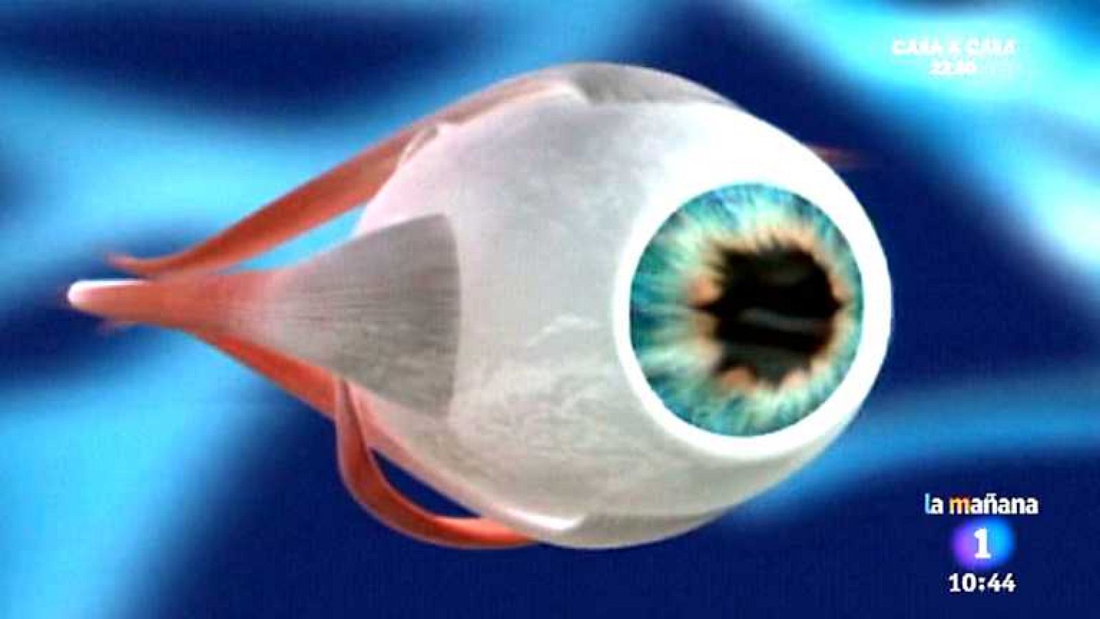 Saber vivir - 15/05/14 - Ver ahora