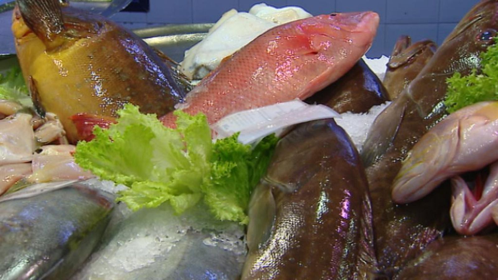 Telecanarias - 15/05/14 | Ver