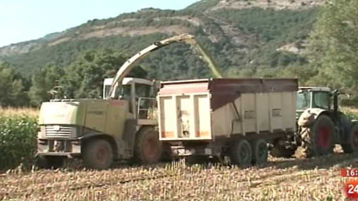 España en 24h - España en 24 horas - 15/05/14