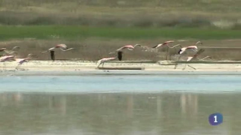 Castilla-La Mancha en 2' - 16/05/14 | Ver