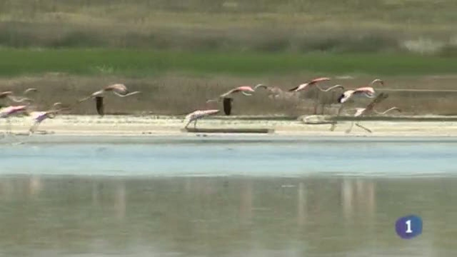 Noticias de Castilla-La Mancha - 16/05/14 | Ver