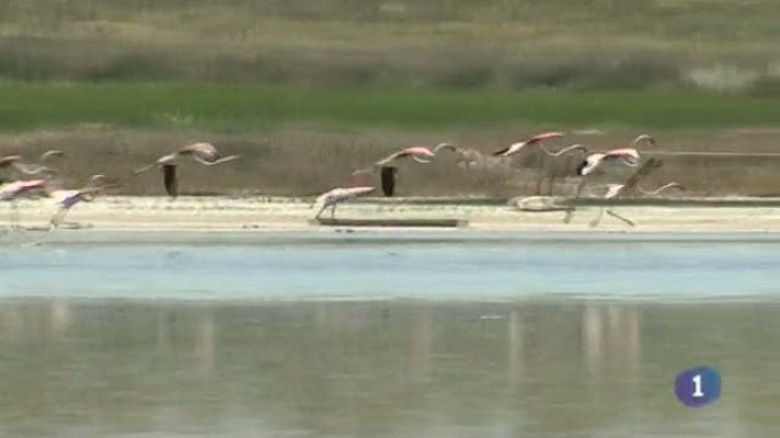 Noticias de Castilla-La Mancha - Noticias de Castilla-La Mancha - 16/05/14