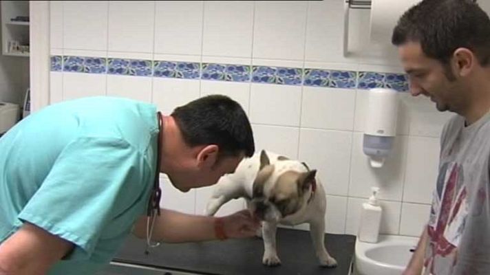 Noticias de Ceuta - Noticias de Ceuta - 16/05/14