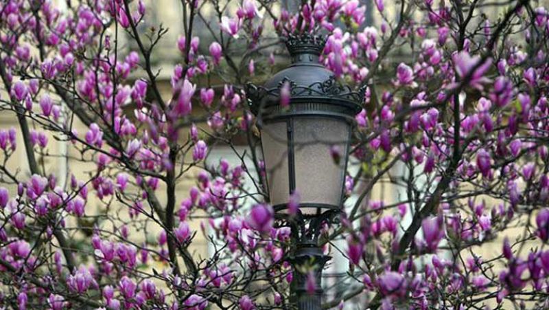 Nuboso o muy nuboso en el extremo sureste, Baleares y Melilla