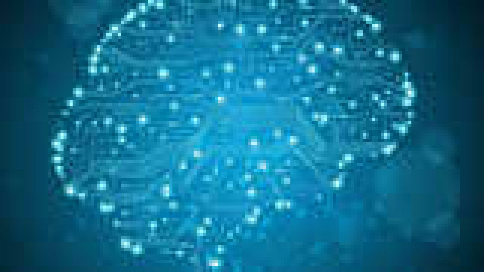 Informe Semanal - ¿Es internet un cerebro? - ver ahora