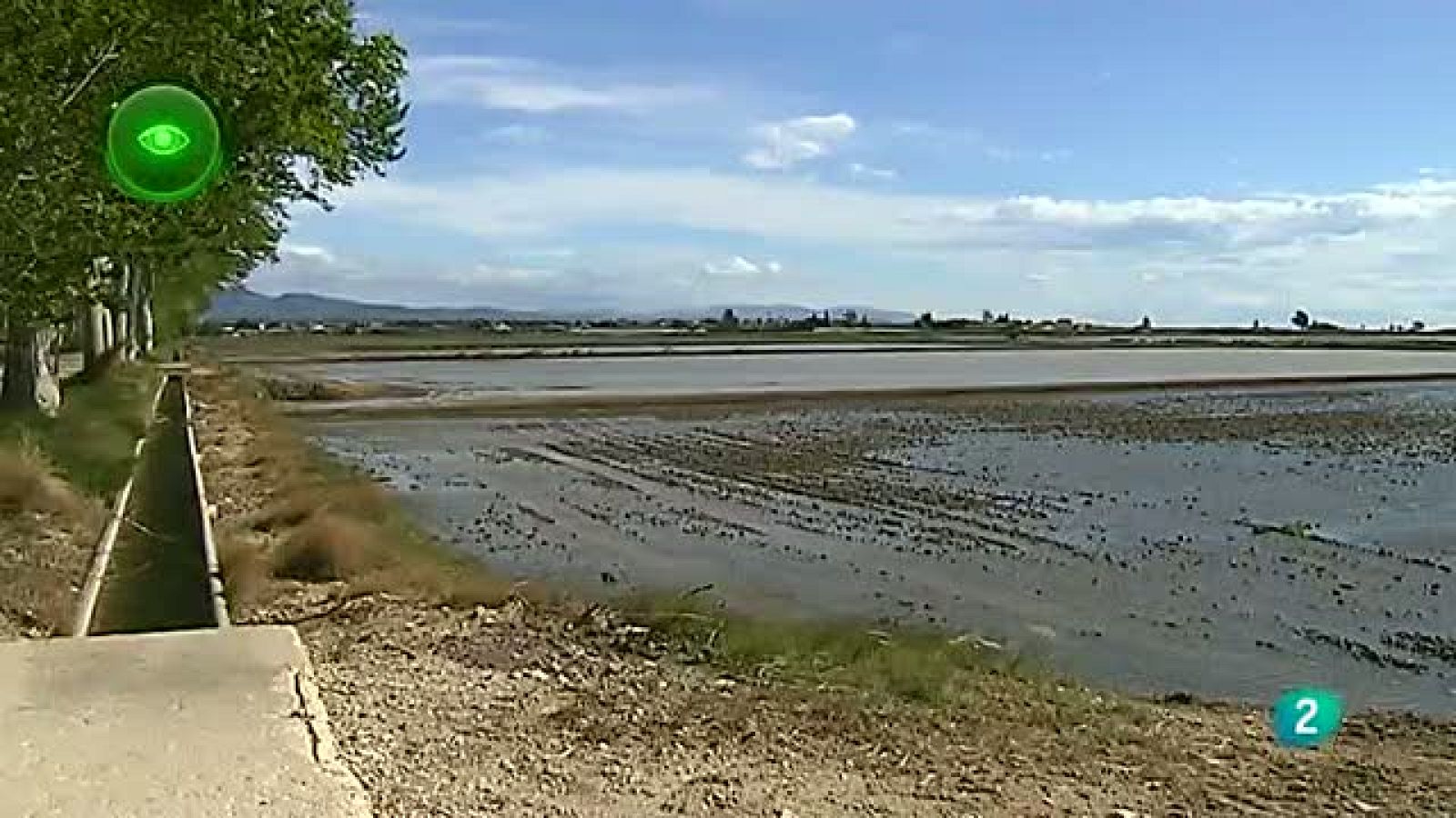 Agrosfera - En primer plano - Caracol Manzana