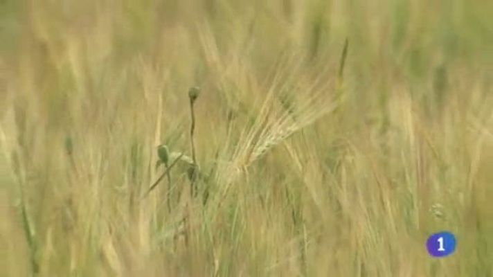 Noticias de Castilla-La Mancha - Noticias de Castilla-La Mancha - 19/05/14