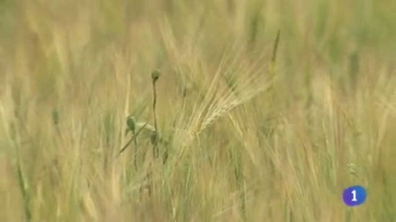 Castilla-La Mancha en 2' - 19/05/14 | Ver