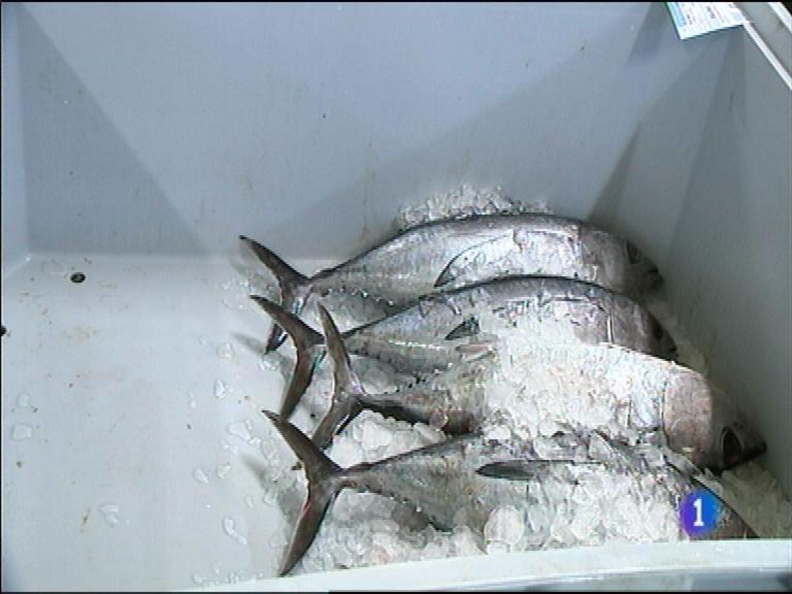 Panorama Regional 2 - 19/05/14 | Ver