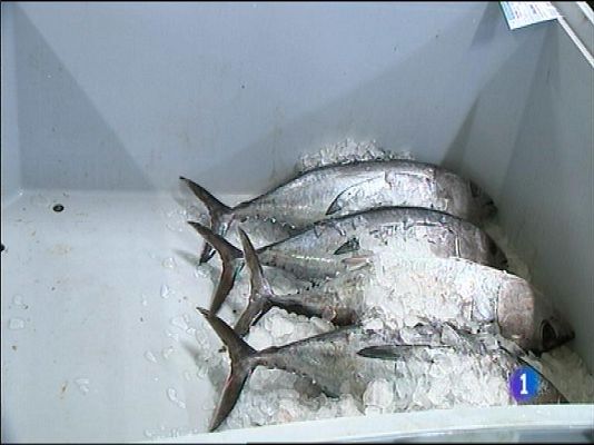 Panorama Regional - Panorama Regional 2 - 19/05/14