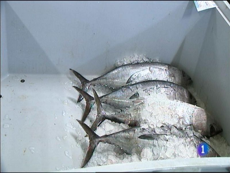 Panorama Regional 2 - 19/05/14 | Ver