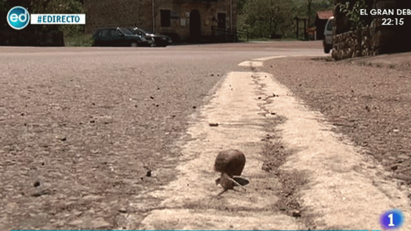 Directo- Correpoco (Cantabria)